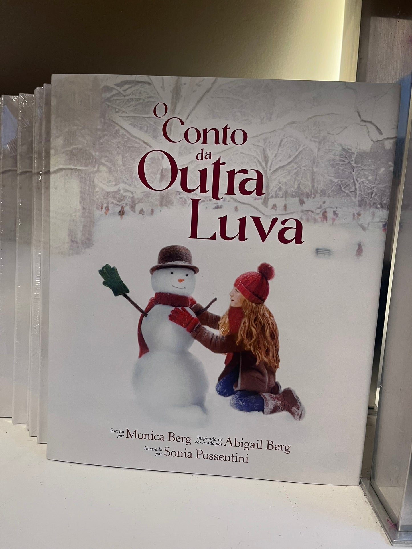 O Conto da Outra Luva (Capa dura)