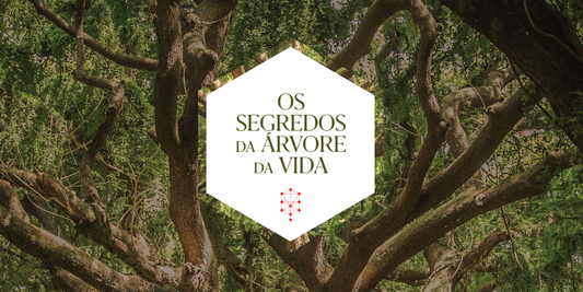 Árvore da Vida | 21 de Maio de 2025 | ONLINE
