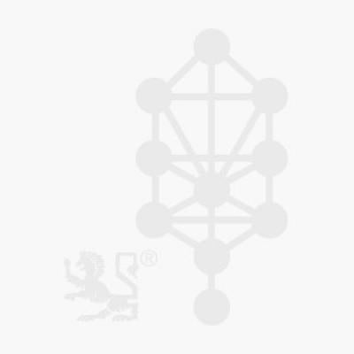 Preparação para Purim - Dose espiritual para a felicidade | 25 de Fevereiro de 2026 | ONLINE E PRESENCIAL