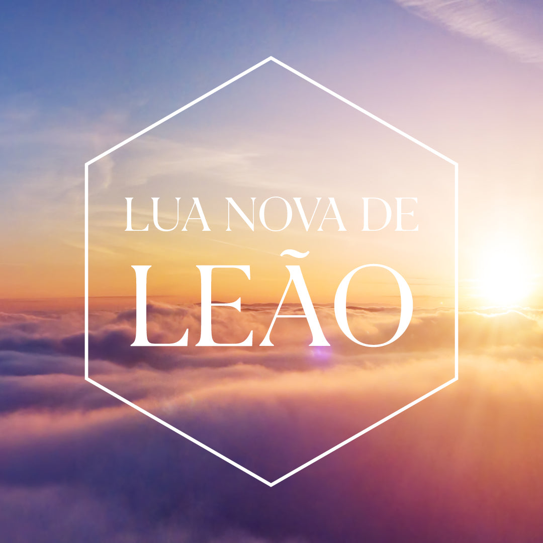 Coquetel e Consciência  - Lua Nova Leão - SP - 14 de Julho de 2026
