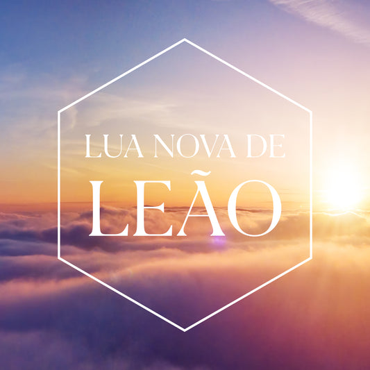 Coquetel e Consciência  - Lua Nova Leão - SP - 14 de Julho de 2026