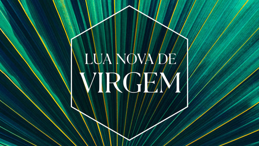 Consciência - Lua Nova de Virgem - RJ - 13 de Agosto de 2026